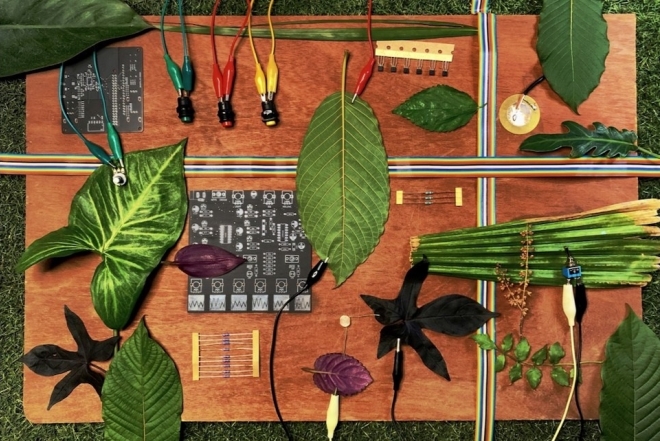 ​Bangkok: Check out an interactive installation on sonic poetry from the garden