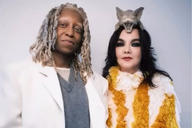 Fans react to Icelandic artist claiming to be in a relationship with Björk