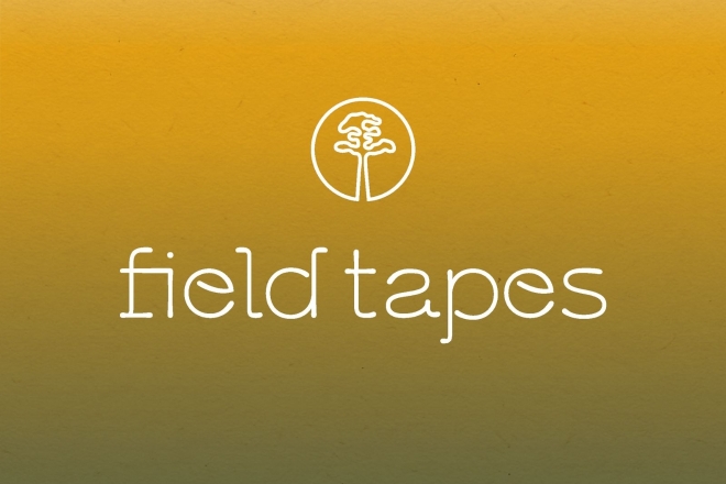 Wonderfruit launches Field Tapes, a label born from the spirit of The Fields