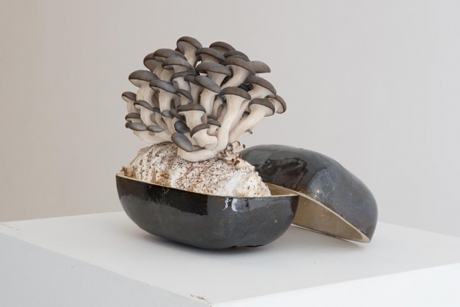 The sound of the future? Speakers made from mushrooms