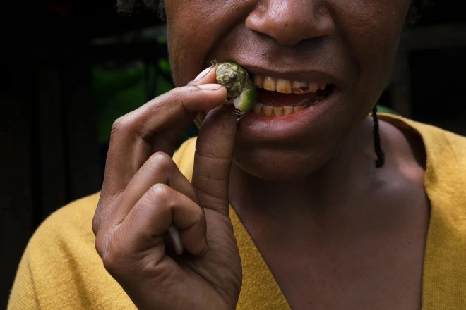 New research reveals early betel nut drug use in Indonesia
