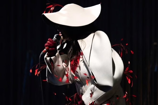 Björk calls for release of childhood friend, musician Magga Stína, detained by Israeli forces