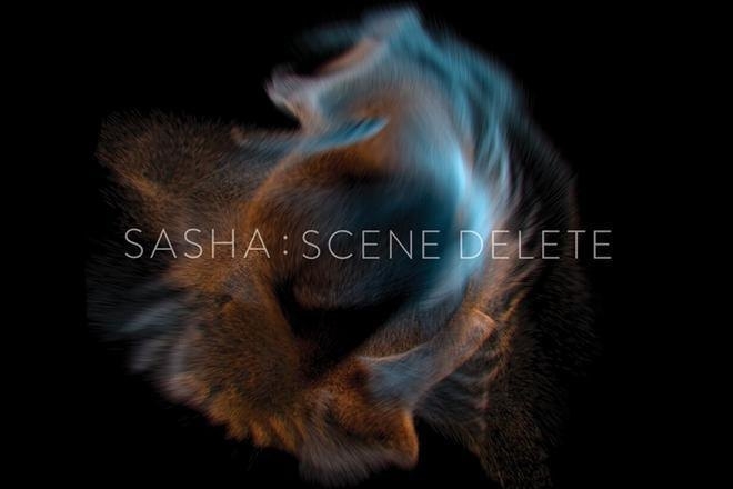 Sasha goes minimal on 'Scene Delete'